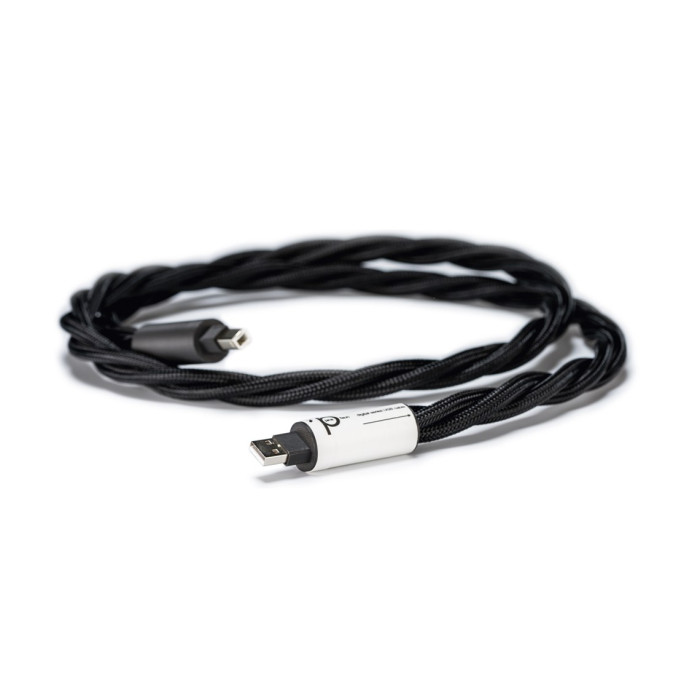 Digital interlink USB